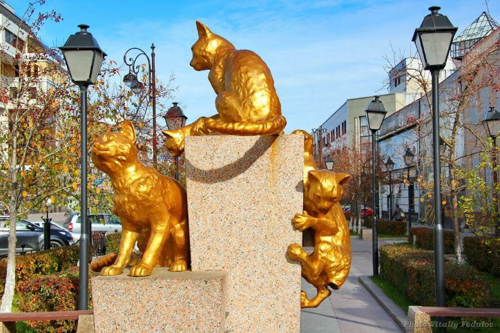 Сквер Сибмрских кошек. Место исполнения желаний