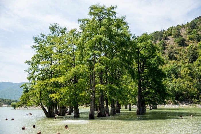 кипарисовое озеро в Анапе